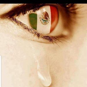 Meet your Posher, Martina